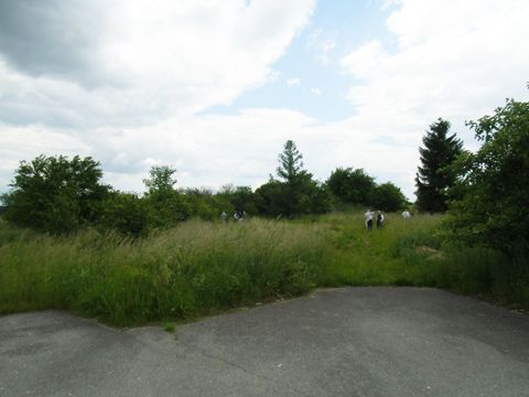 Foto 16